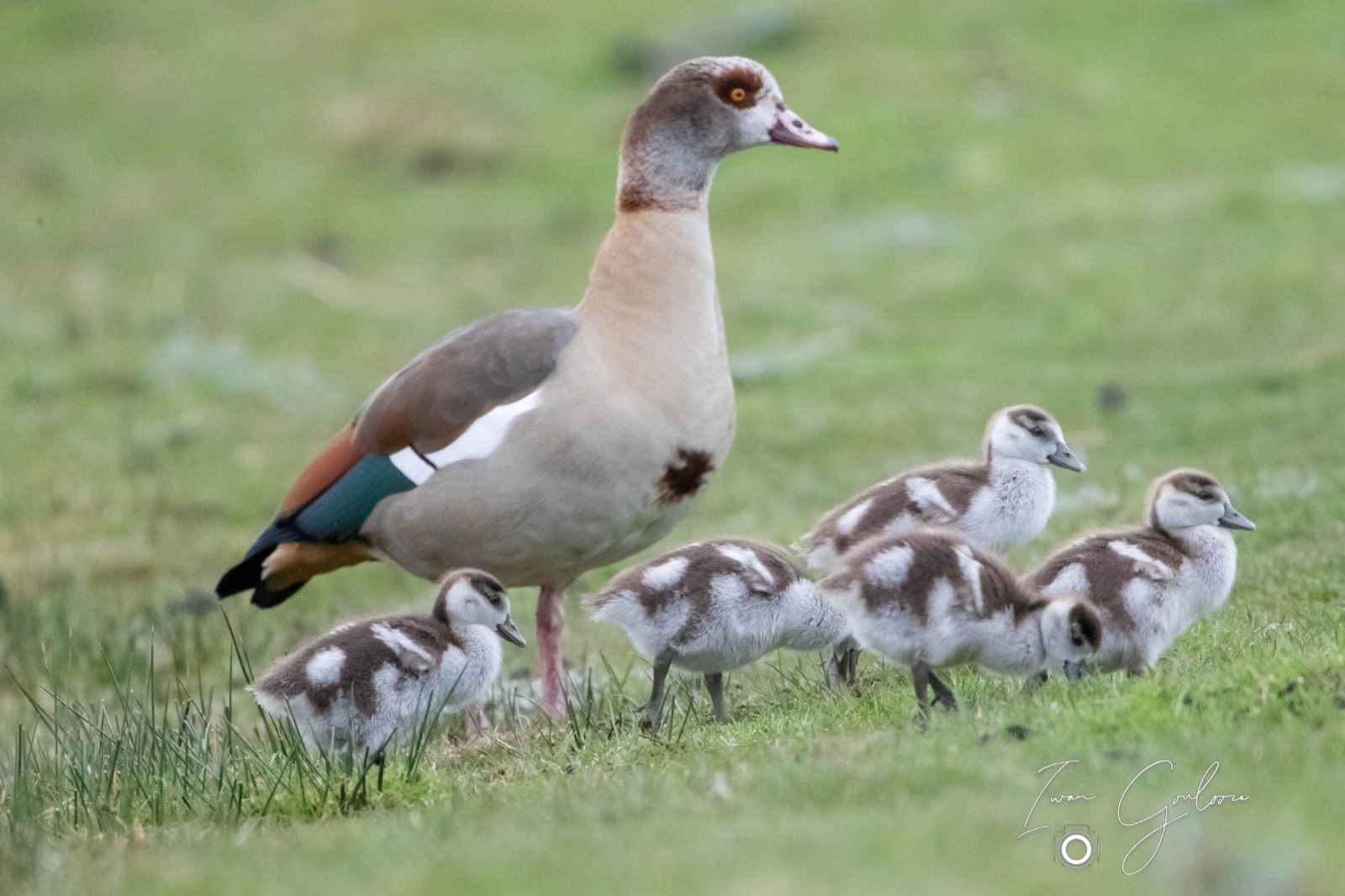 05 april 2022 154735 1DX47901